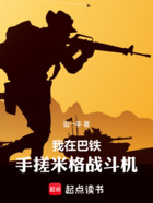 我在巴铁手搓米格战斗机在线阅读