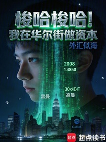 梭哈梭哈！我在华尔街做资本（陆辰）在线阅读