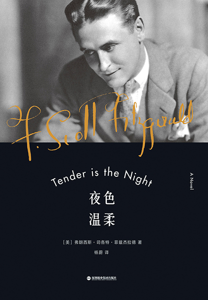夜色温柔 读后感(3)篇