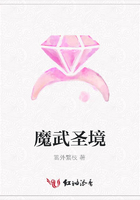 魔武圣境在線閱讀