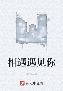 相遇遇見你