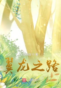 翼龍之路