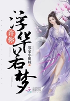 許你浮華若夢在線閱讀