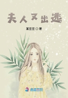 夫人又出逃