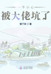 一不小心被大佬坑了