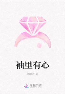袖里有心