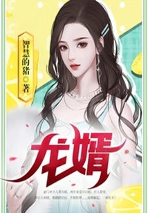 龍婿
