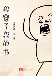 我穿了我的書