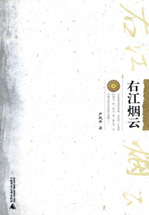 廣西城市傳記叢書·百色卷：右江煙云
