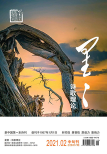 星星·诗歌理论（2021年第2期）