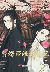 贅婿帶娃追妻記