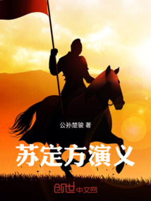蘇定方演義