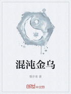 混沌金乌在线阅读