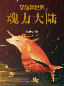 穿越異世界魂力大陸