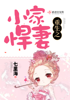 重生之小家悍妻在線閱讀
