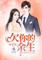 霍思佳，欠你的余生在線閱讀