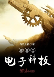 重生之電子科技