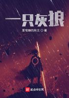 一只灰狼在線閱讀