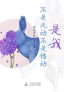 不是風(fēng)動(dòng)不是幡動(dòng)是我