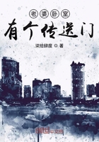 老婆卧室有个传送门
