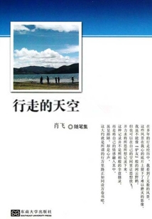 行走的天空