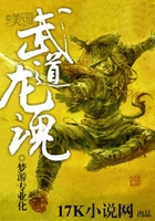 武道龙魂在线阅读