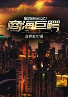 回到95之商海巨鱷在線閱讀