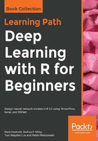 Deep Learning with R for Beginners