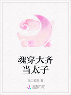 魂穿大齊當太子在線閱讀