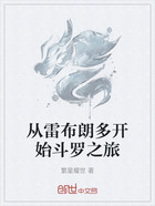 从雷布朗多开始斗罗之旅在线阅读