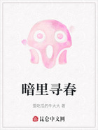 暗里寻春在线阅读