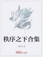秩序之下合集在线阅读