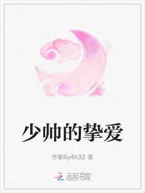 少帅的挚爱在线阅读