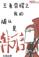 王者之我的隨從是韓信在線閱讀