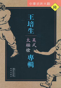 王培生專輯:吳式太極槍(中華武術大觀)