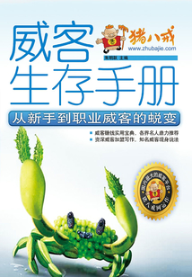 威客生存手冊：從新手到職業(yè)威客的蛻變
