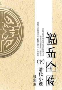 清代小说:说岳全传(下)