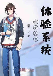 完美人生体验系统