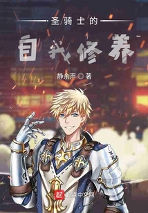 圣騎士的自我修養