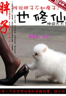 胖子也修仙