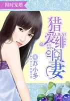 猎爱绯闻妻:限时宠婚在线阅读