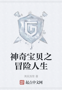 神奇寶貝之冒險人生