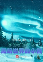 精灵宝可梦之黑暗世界的小智