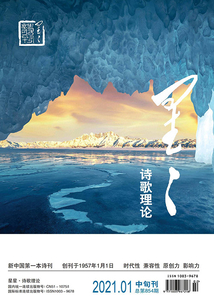 星星·詩(shī)歌理論（2021年第1期）