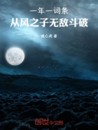 一年一词条，从风之子无敌斗破在线阅读