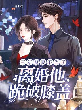 三年贤妻不当了，离婚他跪破膝盖在线阅读