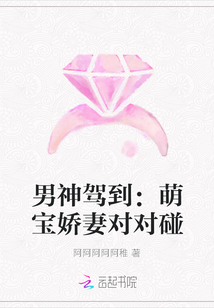 男神驾到：萌宝娇妻对对碰