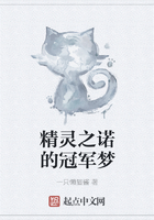 精灵之诺的冠军梦