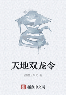 天地雙龍令