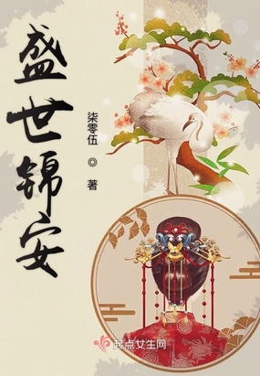 盛世锦安在线阅读